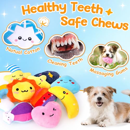 Weather Themed 20 (Weather-Themed Squeaky Toys)