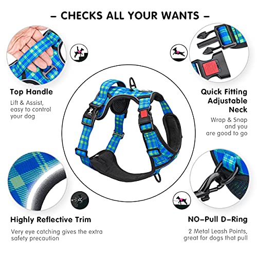 Plaid Dog Harness Large (L / Checkered Blue & Green)