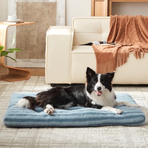 Washable Small Dog Bed (Blue / 23.0"l x 18.0"w x 3"th)