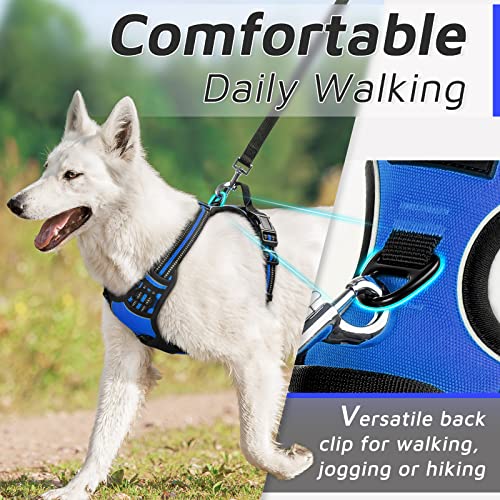 Dog Harness for Medium Sized Dogs (Medium / Blue)