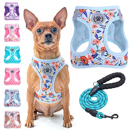 Small Dog Harness and Leash Set (XX-Small(Chest Girth 11.5"-13") / Blue Rose)