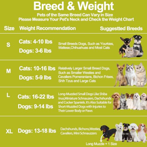 Dog Cone Collar for Dogs After Surgery (Green / (Neck:9"-12"))