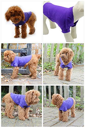 Basic Dog Polo Shirts Premium Cotton (XXL (-55lbs) / Purple)