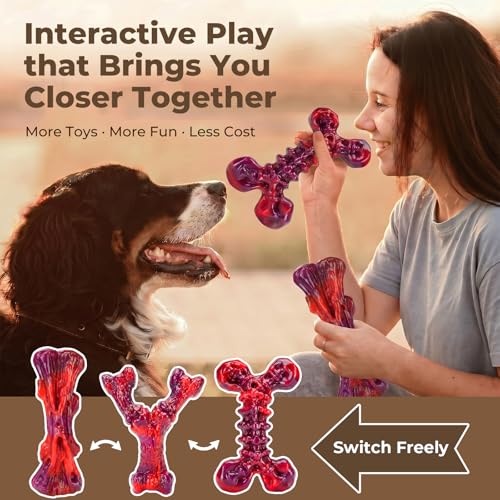 3 Pack Beef Flavored Dog Chew Toys for Aggressive Chewers (3PC-Beef-Red)
