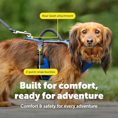 EasySport Dog Harness (Extra Small / Blue)