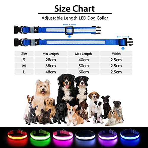 Light up Dog Collar (Blue / L(19 inch-23.6 inch))