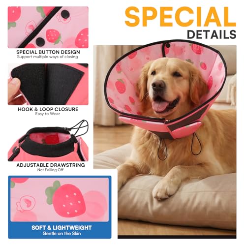 Dog Cones for Medium Dogs (M / Strawberry)