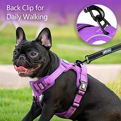 No Pull Dog Harness (Medium / Purple(Matching Trim))