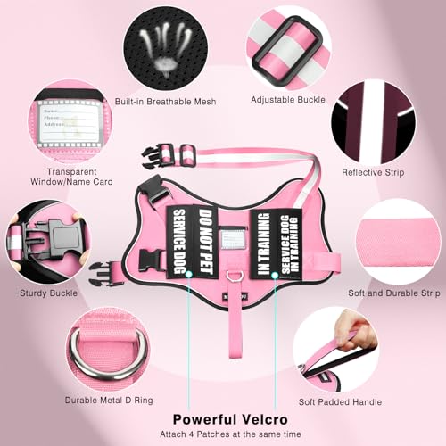 Service Dog Vest Harness and Leash Set+10 Patches (Extra-large / Pink)