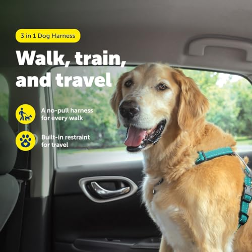 Easy Walk 3 in 1 No Pull Dog Harness (Teal / Large (Pack of 1))