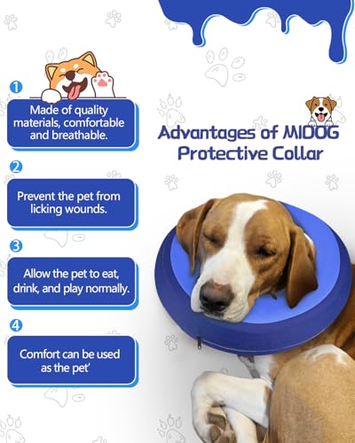Inflatable Dog Cone (PinkBlue / S(9"-10"))