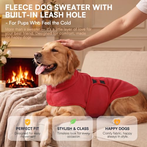 Small Dog Sweater (Red / Small)