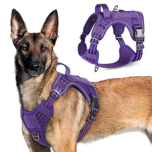 Tactical Dog Harness for X (Purple / X-Large)