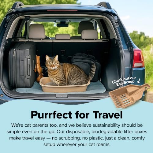 Disposable Cat Litter Box Large (Litter Box Only / Large (6-Piece Set))