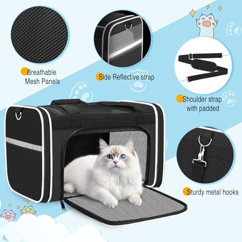 Large Cat Carrier Soft Sided Travel Pet Carrier Airline Approved (Black 1)