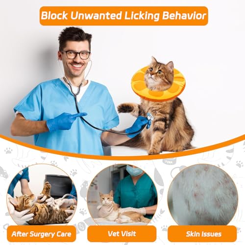Cat Cone Collar Soft (Orange / Large)