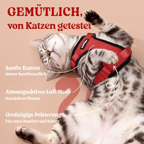 Cat Harness and Leash Set (M / Red)