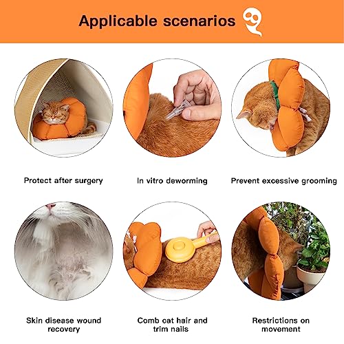 Cat Cone Collar (Large / Orange pumpkin)