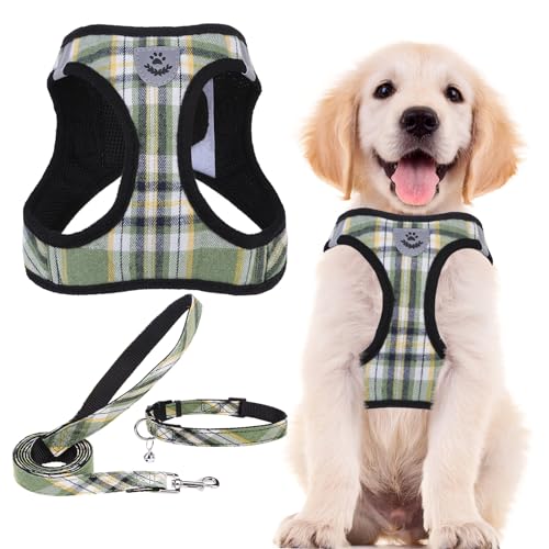 Dog Harness Collar and Leash Set No Pull for Small Medium Sized (Yellow Green / M (CHEST 16"-18"))