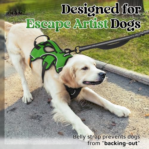Escape Proof Dog Harness for Large (Green / Large)