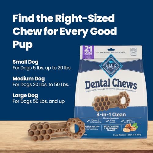 Chicken & Spearmint Large Dental Chews (33 Ounce (Pack of 1))