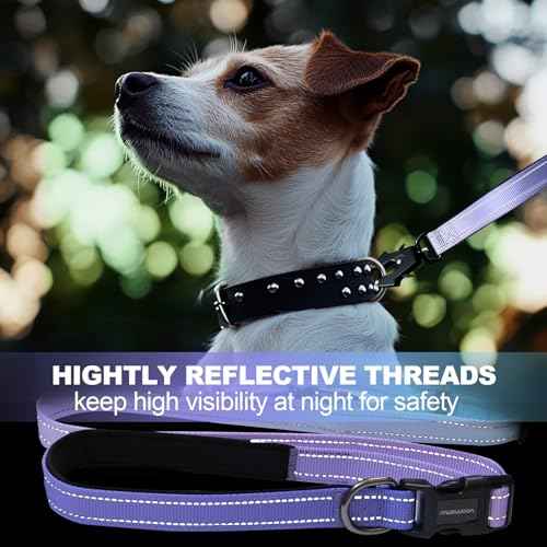 Heavy Duty Hands Free Dog Leash with Quick Release Carabiner and Adjustable No Pull Bungee Dog Running Waist Leash (Aurora Purple)