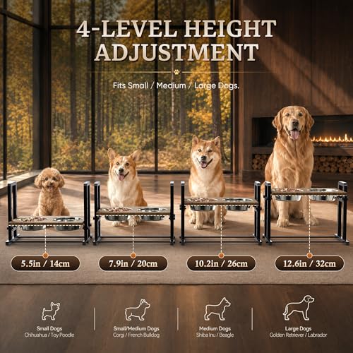 Elevated Dog Bowls