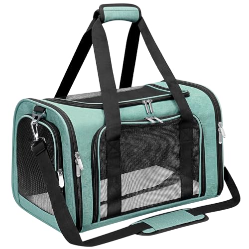 Soft Sided Cat (Turquoise / 17"L x 11"W x 11"H)