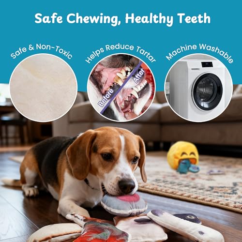 Plush Squeaky Dog Toys (12pcs Funny Toys)