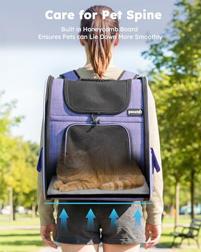 Cat Backpack Expandable (Purple / 12.6"L x 10.2"W x 16.5"H)