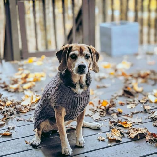 Classic Dog Sweater Wool Blend Cable Knit Pullover Crewneck Winter Clothes in Smoke Grey (10 inch (Pack of 1) / Smoke Grey)