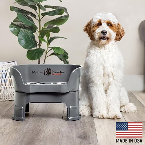 Neater Feeder Deluxe Mess (Medium + Standard Bowl / Gunmetal)
