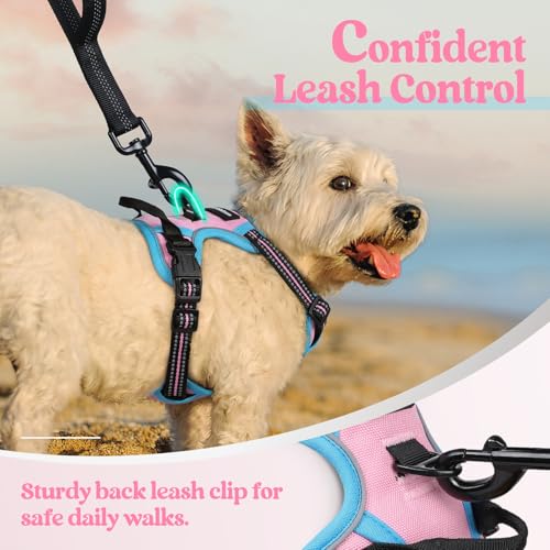 Dog Harness No Pull for Small Dogs with 2 Leash Clips (X-Small / Pink & Blue)