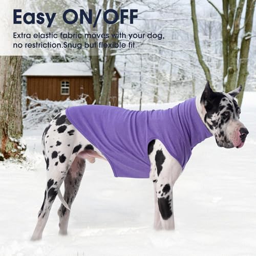 XL Dog Sweater (X-Large / Purple)