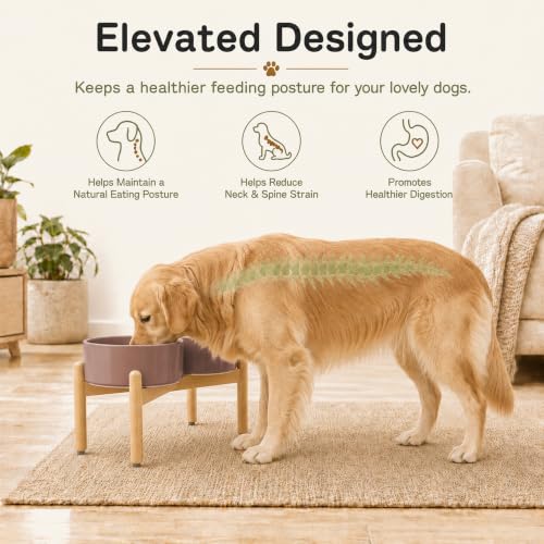Ceramic Dog Bowls Elevated (Brown Coffee)