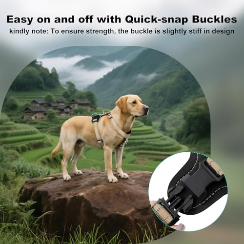 No Pull Dog Harness with Leather Accents (XL / Beige)