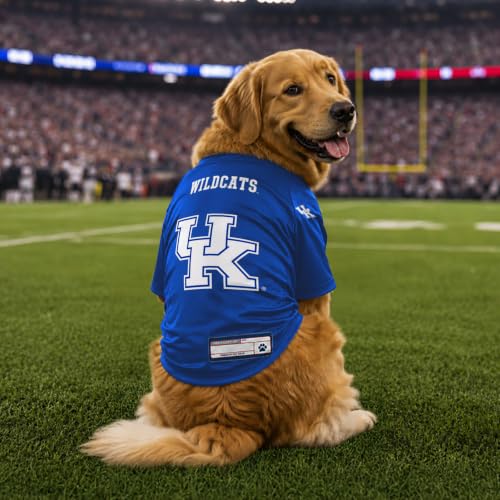 NCAA Kentucky Wildcats Stretch Pet Jersey (Kentucky Wildcats / Large)