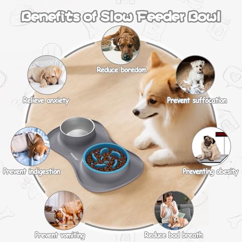 Dog Food and Water Bowl Set 3 in 1 (Small / Gray)