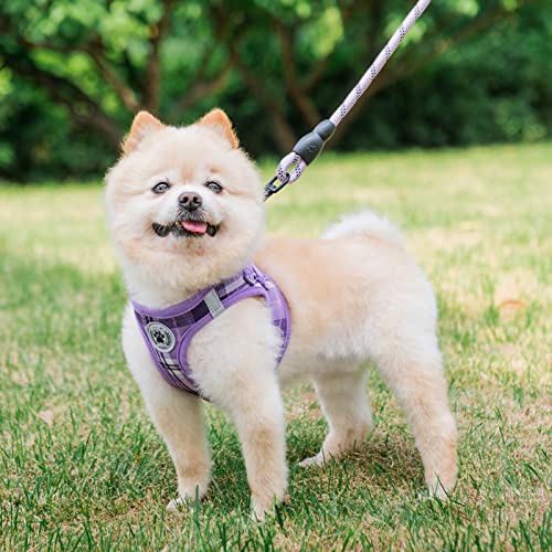 Small Dog Harness and Leash Set (XSmall(Chest Girth 13" - 14.5") / Purple)