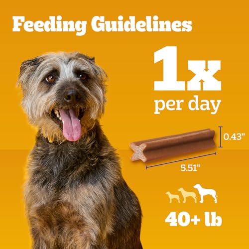 Dentastix Large Breed Dental Dog Treats (32 Count (Pack of 1))