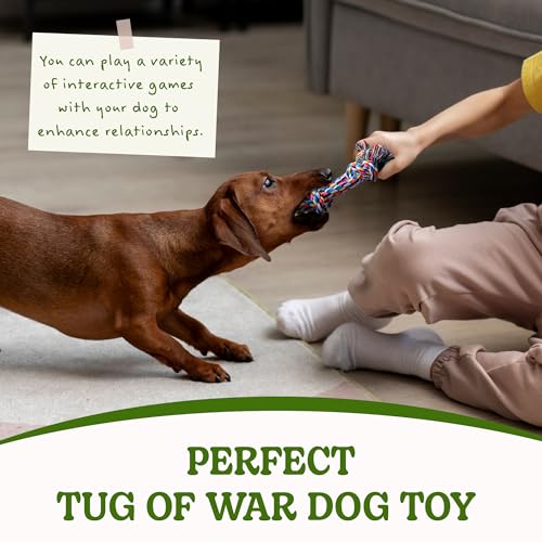 2 Pack Dog Rope Toy for Small Dogs (2 Pack-Small / Small)
