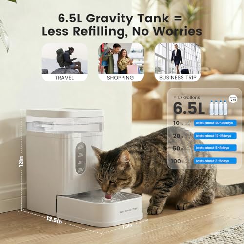 1.7 Gallon Automatic Dog Water Dispenser with Stainless Steel Bowl (White / 1.7 Gallon)