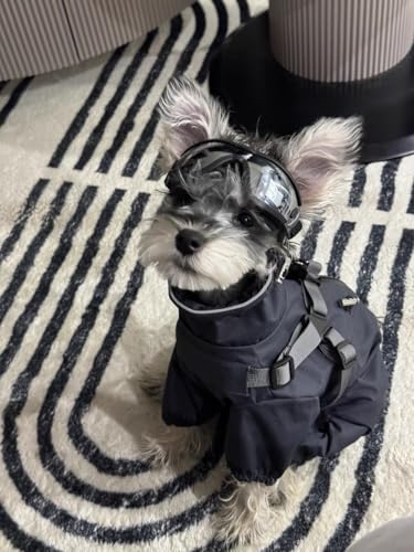 Waterproof Dog Raincoat (S Back Length 13" / Dark Gray)