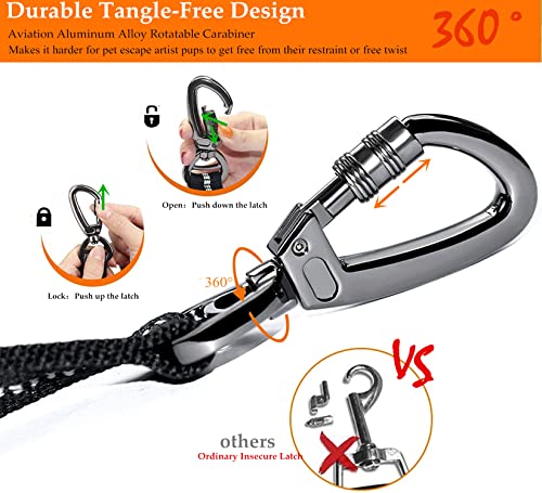Dog Seat Belt