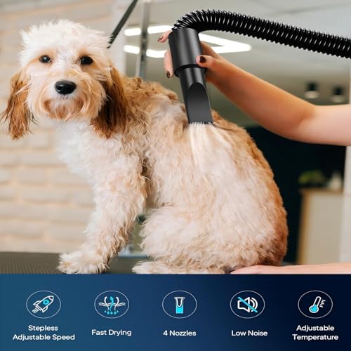Dog Dryer 5.2HP
