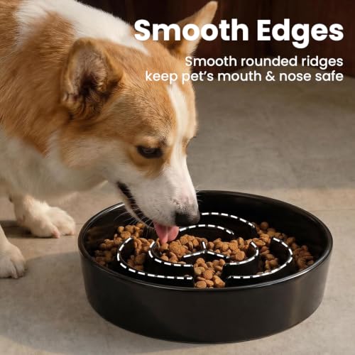 Ceramic Slow Feeder Dog Bowls 0.6 Cups for Small Fast Eaters (Black / S - 0.6 Cups)