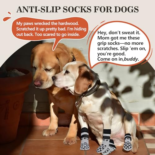 Dog Paw Socks (XS(Pack of 4))