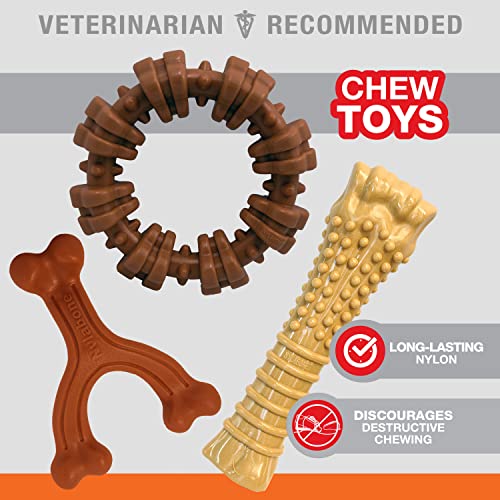 Power Chew Customer Favorites Dog Chew Toys (Large / Bundle)