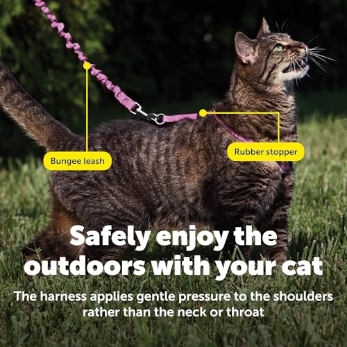 Come with Me Kitty Harness and Bungee Cat Leash (Medium (Pack of 1) / Dusty Rose)