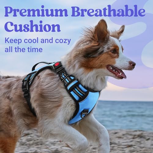 Large Dog Harness (Medium / Light Blue)